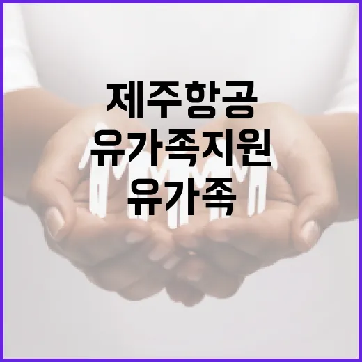 정부 제주항공 유가족 지원 계속한다! 이유는?