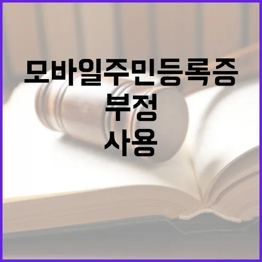 모바일 주민등록증 …