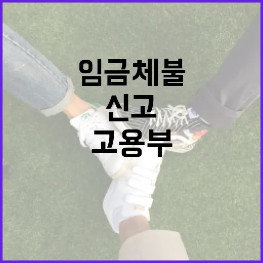 임금체불 신고 고용…