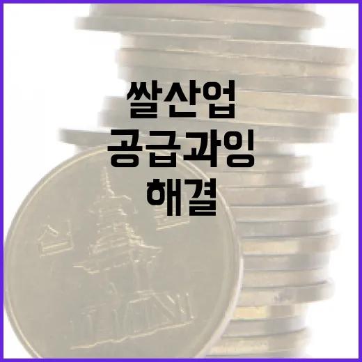 “쌀 산업 공급과잉 해결 대안은 없다!”