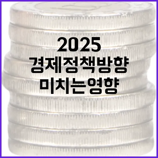 2025 경제정책방…