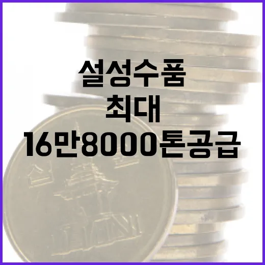 설 성수품 16만 8000톤 공급 마트 할인 최대 40%!