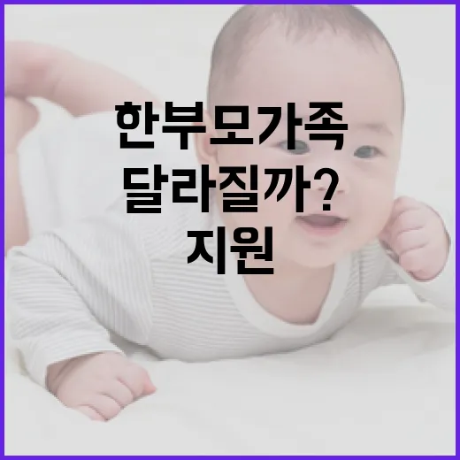 한부모가족 지원 예…