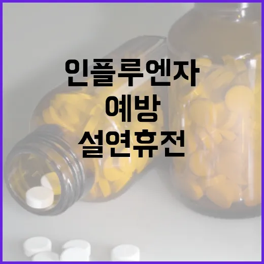 인플루엔자 예방 설 연휴 전 필수 확인!