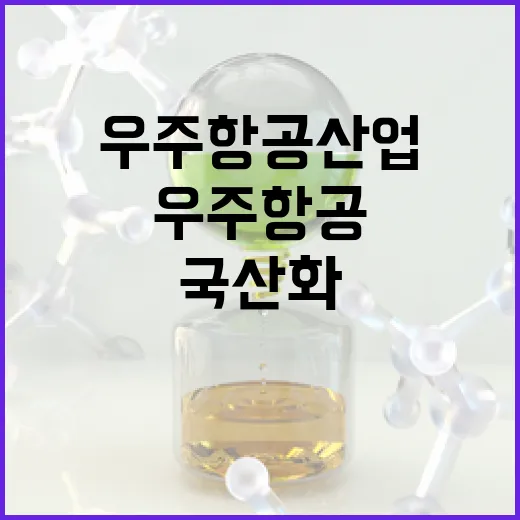 국산화 올해 우주항…