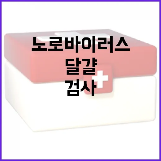 달걀 검사 살모넬라·노로바이러스 집중관리 소식!