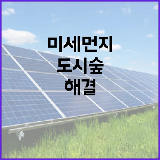 도시숲 미세먼지 해결의 새로운 희망 등장!