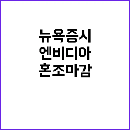 뉴욕증시 엔비디아 실망감 심화로 혼조 마감!