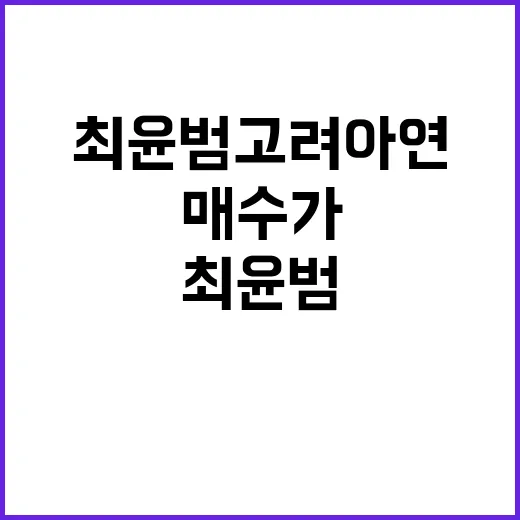 이걸로 끝? 최윤범…