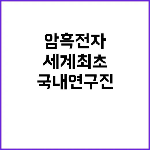 암흑 전자 세계 최…