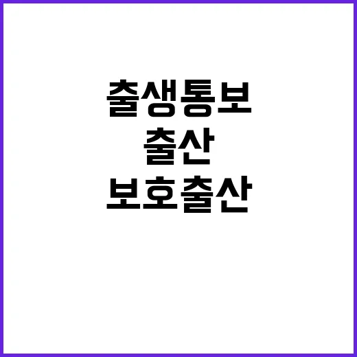 출생통보, 보호출산…