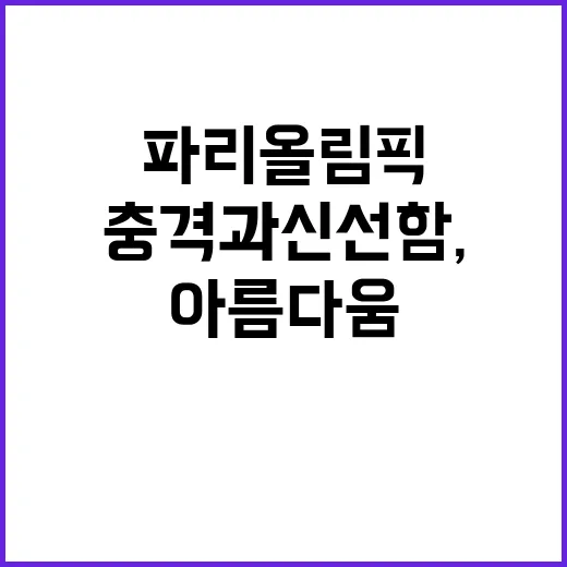 파리올림픽 풍경 충…