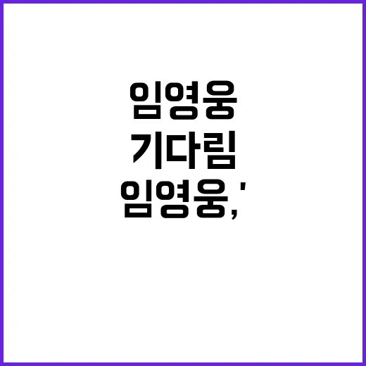 임영웅, 