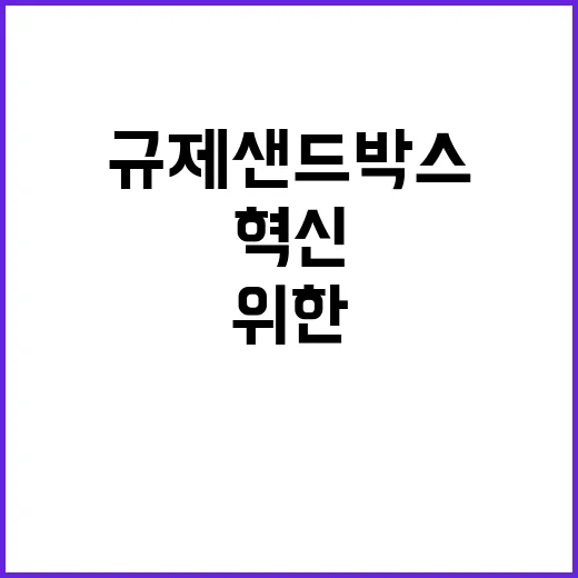 규제샌드박스 혁신 …