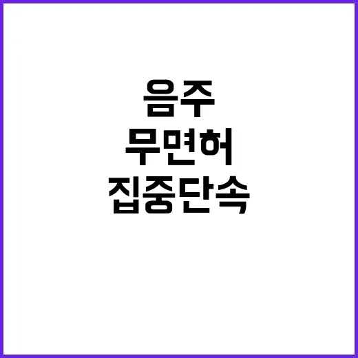 피서철, 음주·무면…