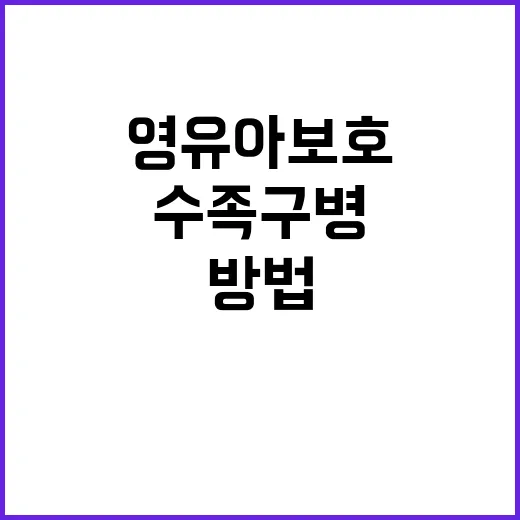 수족구병 영유아 보…