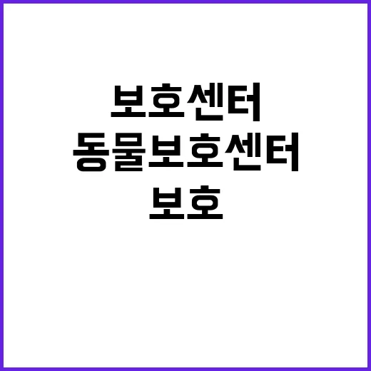 동물보호센터, 혹서…