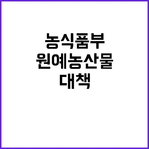 원예농산물 대책 발…