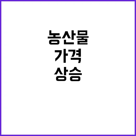 농산물 가격 진실 …