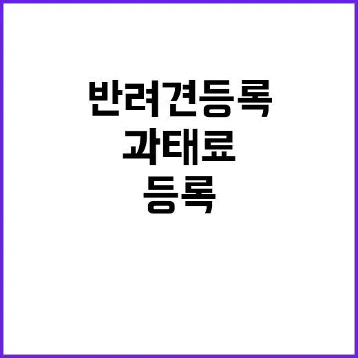 반려견 등록 기한,…