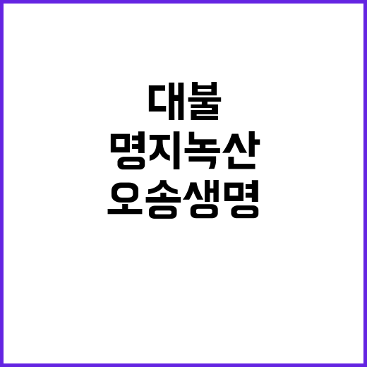 대불·명지녹산·오송…