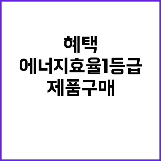 에너지 효율 1등급 제품 구매, 40% 환급 혜택!