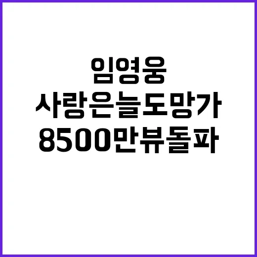 임영웅 사랑은 늘 도망가 8500만뷰 돌파!