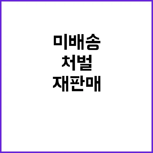 미배송 물품 국내 재판매 강력 처벌 경고!