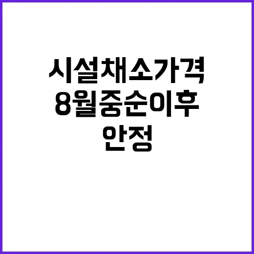 시설채소 가격 안정 8월 중순 이후 예측