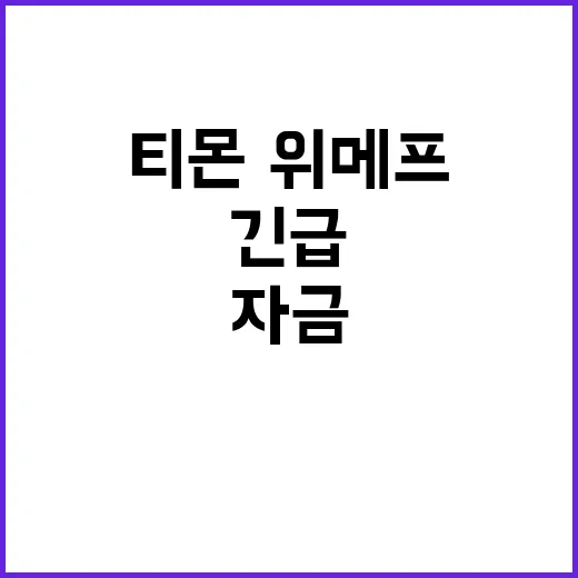 티몬·위메프 긴급자…