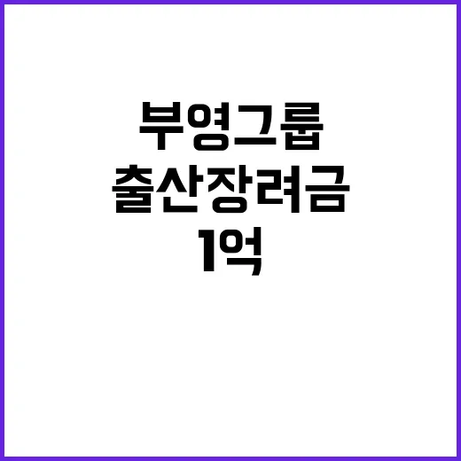 부영그룹 1억 출산…