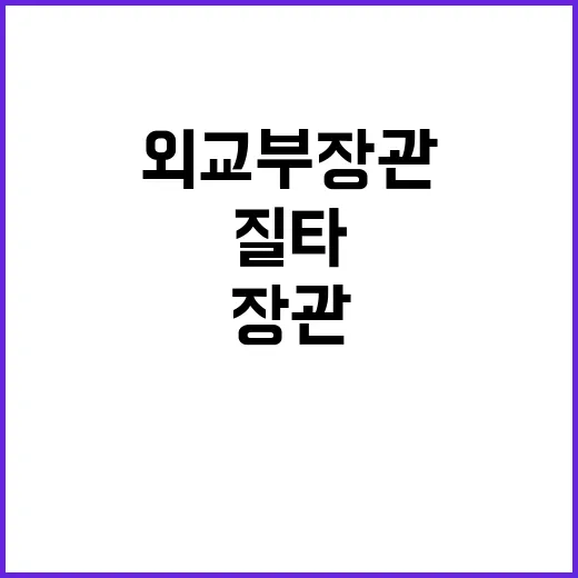 김영배의 외교부 장…