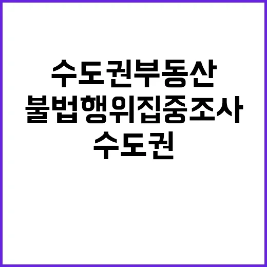 수도권 부동산 불법…