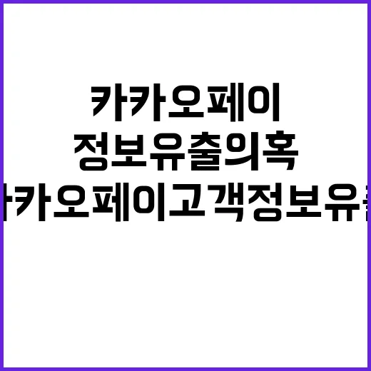 금융감독원 카카오페이 고객정보 유출 의혹!