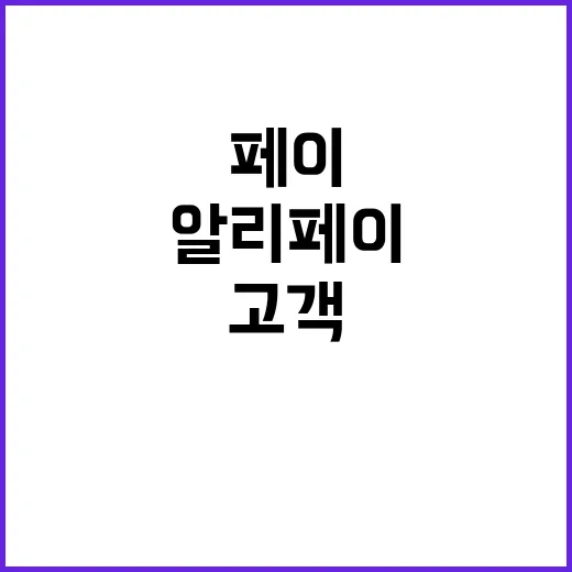 알리페이 고객정보 …