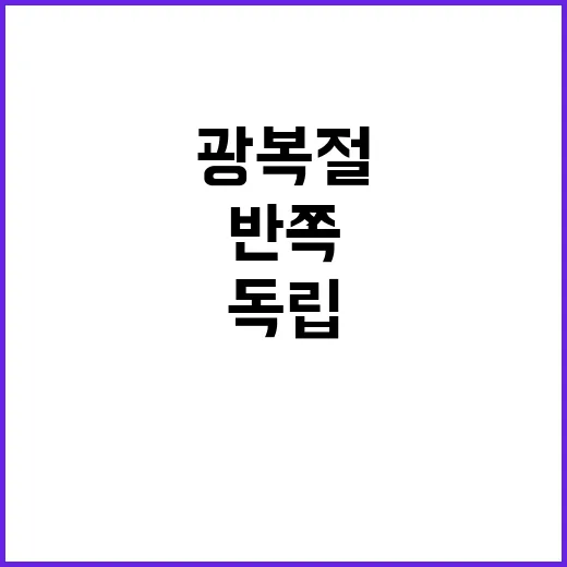 독립운동 정부 충돌…