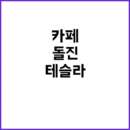 테슬라 카페 돌진 …