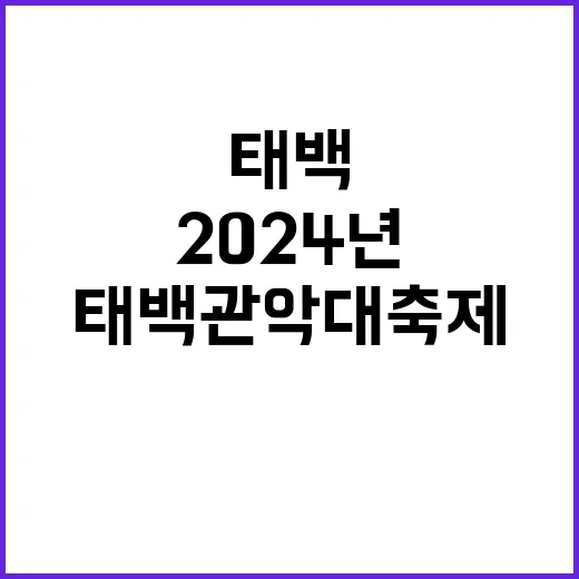 태백 관악대축제 새로운 2024년의 시작