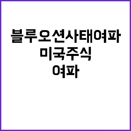 미국 주식 대혼란 …