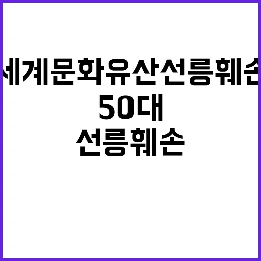 세계문화유산 선릉 …