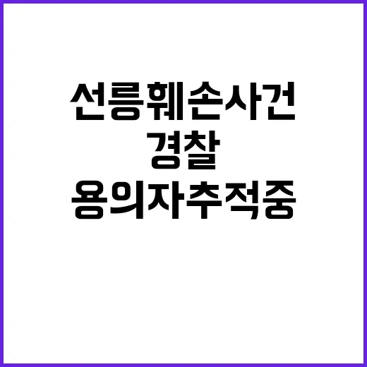 선릉 훼손 사건 경찰 용의자 추적 중!