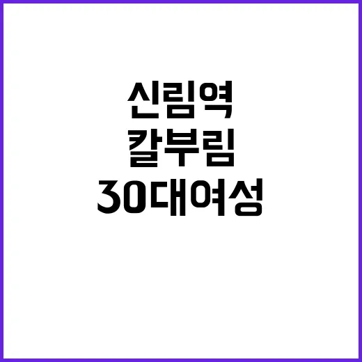 신림역 칼부림 사망…