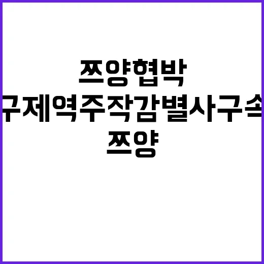 쯔양 협박 구제역 …