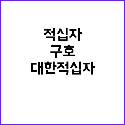 대한적십자 긴급구호…