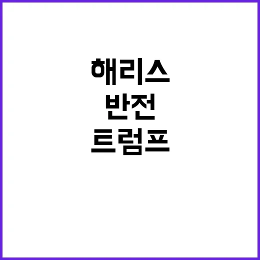 해리스의 반전 트럼…