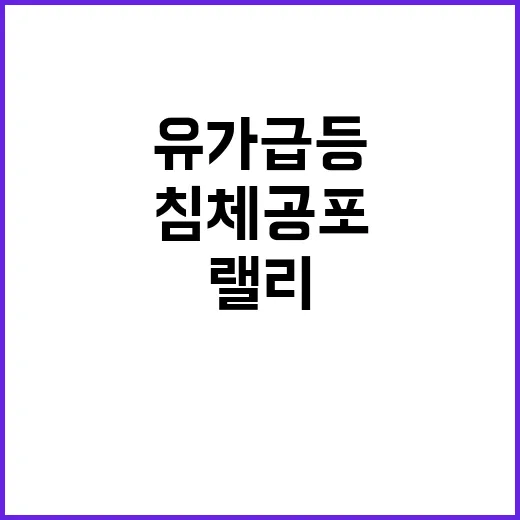 미국 증시 랠리 유…