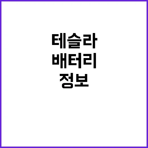 테슬라 정보 배터리…