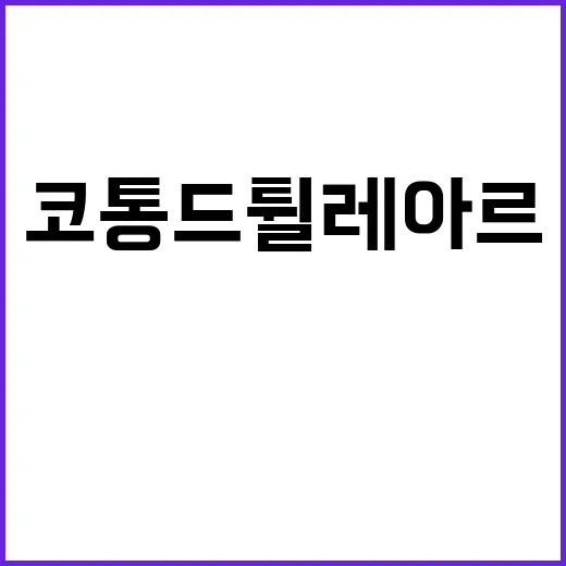 반려견 코통 드 튈…