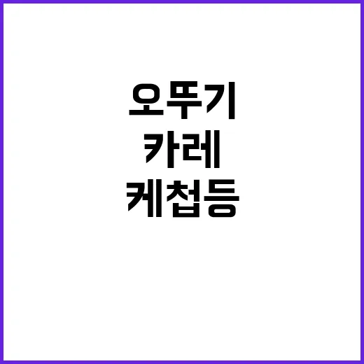 오뚜기 가격 인상 카레 케첩 등 24종!