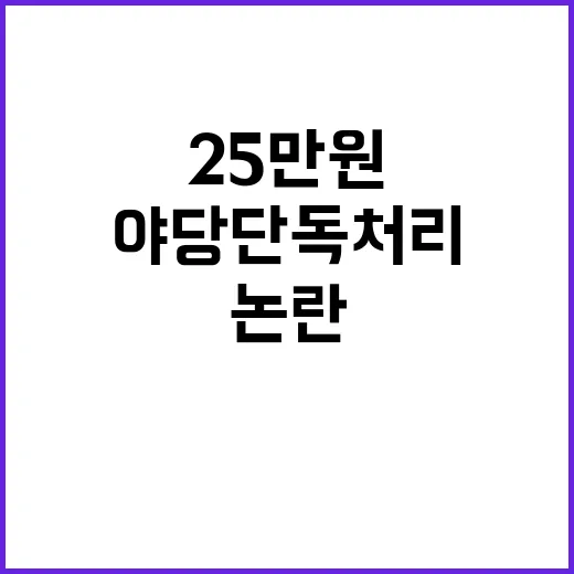 尹 25만원법 논란 야당 단독 처리 반발